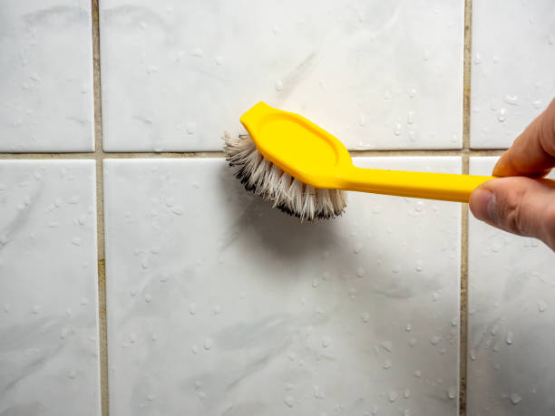 Best Best Mold Removal Companies  in North Shore, VA