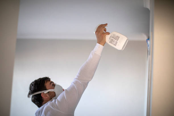 Professional Mold Removal in North Shore, VA