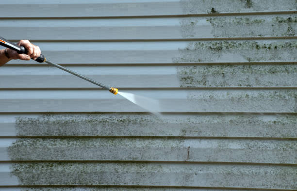 Office Mold Removal Services in North Shore, VA