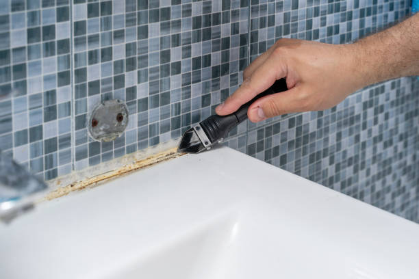 Best Emergency Mold Removal  in North Shore, VA