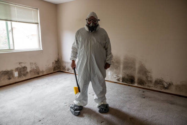 Water Damage Restoration in North Shore, VA